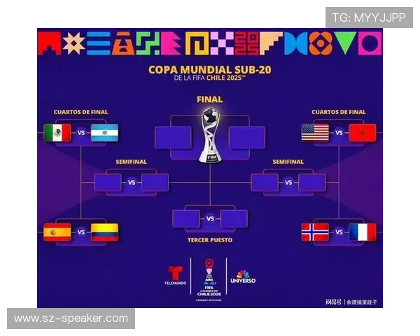 世界杯进球最多的国家队，哪些国家在射手榜上占据领先位置