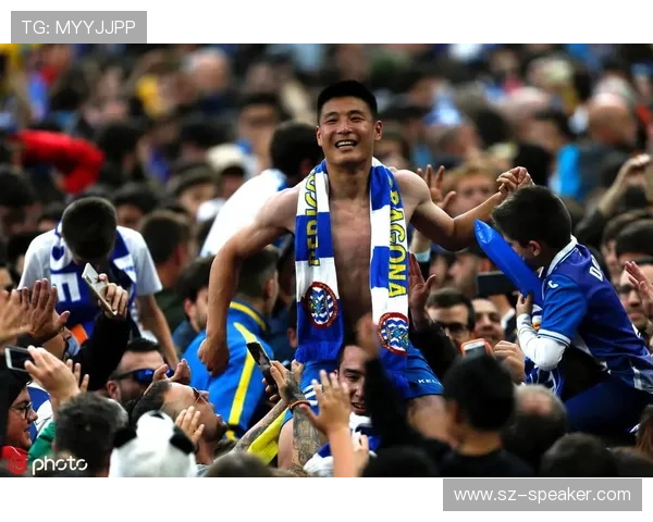 南非世界杯冠军：比赛中的经典瞬间与球迷的热情支持